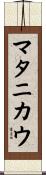 マタニカウ Scroll