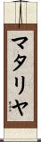 マタリヤ Scroll