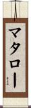 マタロー Scroll