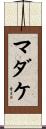 マダケ Scroll