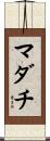 マダチ Scroll