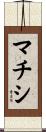 マチシ Scroll