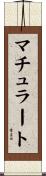マチュラート Scroll