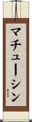 マチューシン Scroll