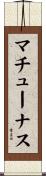 マチューナス Scroll