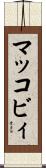 マッコビィ Scroll