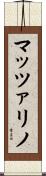 マッツァリノ Scroll