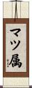 マツ属 Scroll