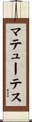 マテューテス Scroll