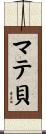 マテ貝 Scroll
