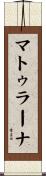 マトゥラーナ Scroll