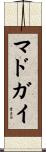 マドガイ Scroll