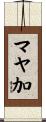 マヤ加 Scroll