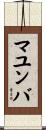 マユンバ Scroll