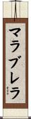 マラブレラ Scroll