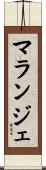マランジェ Scroll