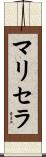 Maricela Scroll