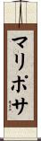 マリポサ Scroll