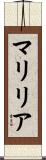 Marília Scroll