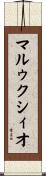 マルゥクシィオ Scroll