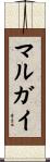 マルガイ Scroll
