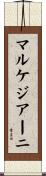 マルケジアーニ Scroll