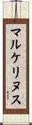 マルケリヌス Scroll