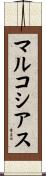 マルコシアス Scroll