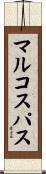 マルコスパス Scroll
