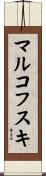 マルコフスキ Scroll