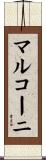 マルコーニ Scroll