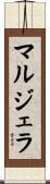 マルジェラ Scroll