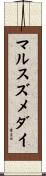 マルスズメダイ Scroll
