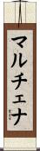 マルチェナ Scroll