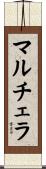 マルチェラ Scroll
