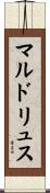 マルドリュス Scroll