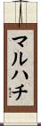 マルハチ Scroll