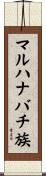 マルハナバチ族 Scroll