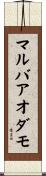 マルバアオダモ Scroll