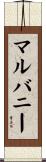 Mulvaney Scroll