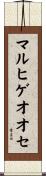 マルヒゲオオセ Scroll