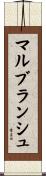 マルブランシュ Scroll