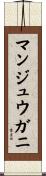マンジュウガニ Scroll