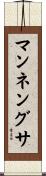マンネングサ Scroll