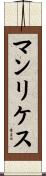 Manriquez Scroll
