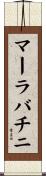 マーラバチニ Scroll