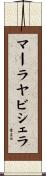 マーラヤビシェラ Scroll