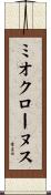 ミオクローヌス Scroll