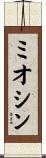ミオシン Scroll