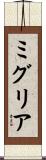 ミグリア Scroll